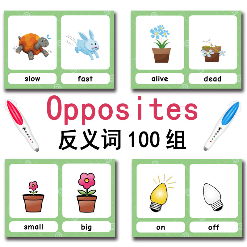 The 100 Groups Opposites Flash - Kids Toys And Games avaliação e preço